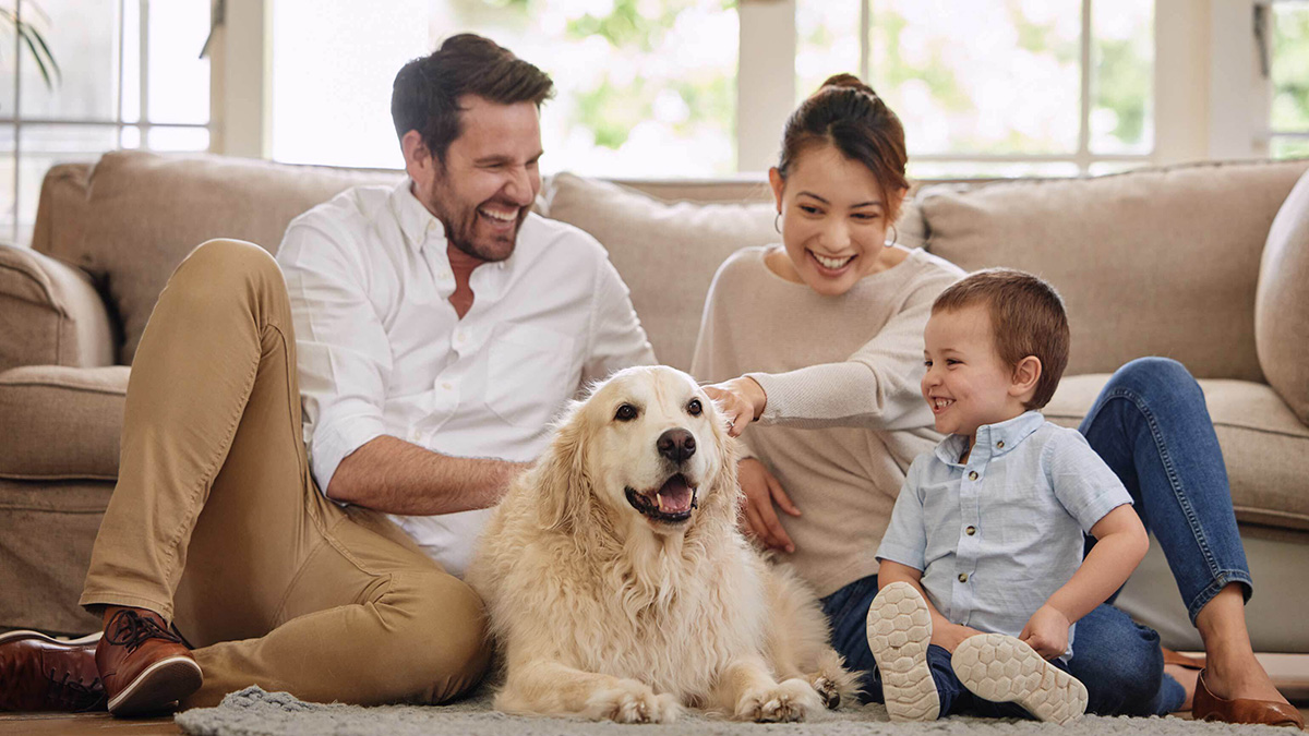 Pets and Property in Japan - Guide for Buyers and Renters